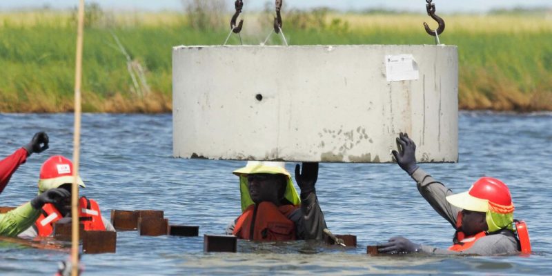 workers at living shoreline
