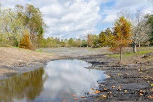 brechtel park lagoon