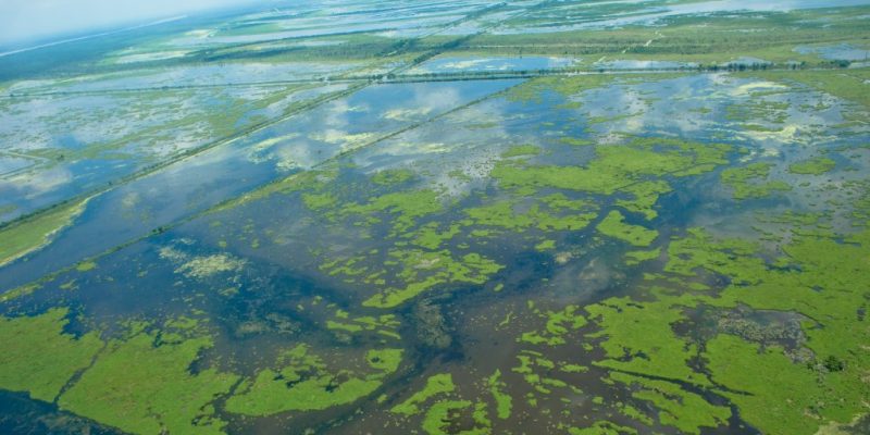 Louisiana wetlands aerial photo